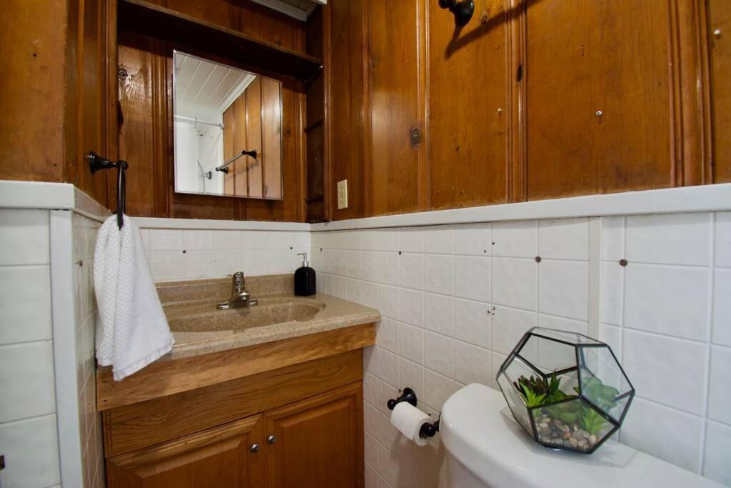 Cajun Stays - Studio Garfield - Pet Friendly Lafayette Exteriör bild